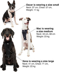 Kurgo Enhanced Strength Tru-Fit Smart Harness - Black / Large - image 2