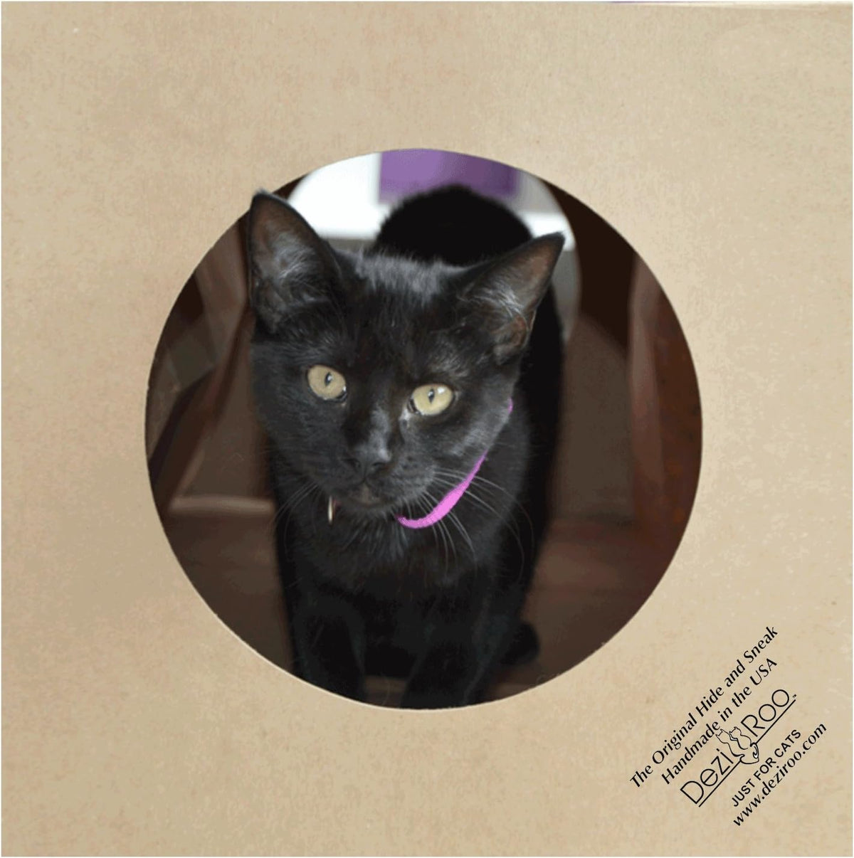 Dezi & Roo Hide and Sneak Collapsible Paper Cat Tunnel