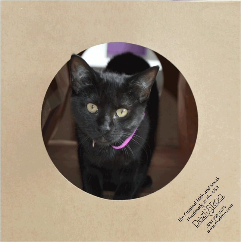Dezi & Roo Hide and Sneak Collapsible Paper Cat Tunnel