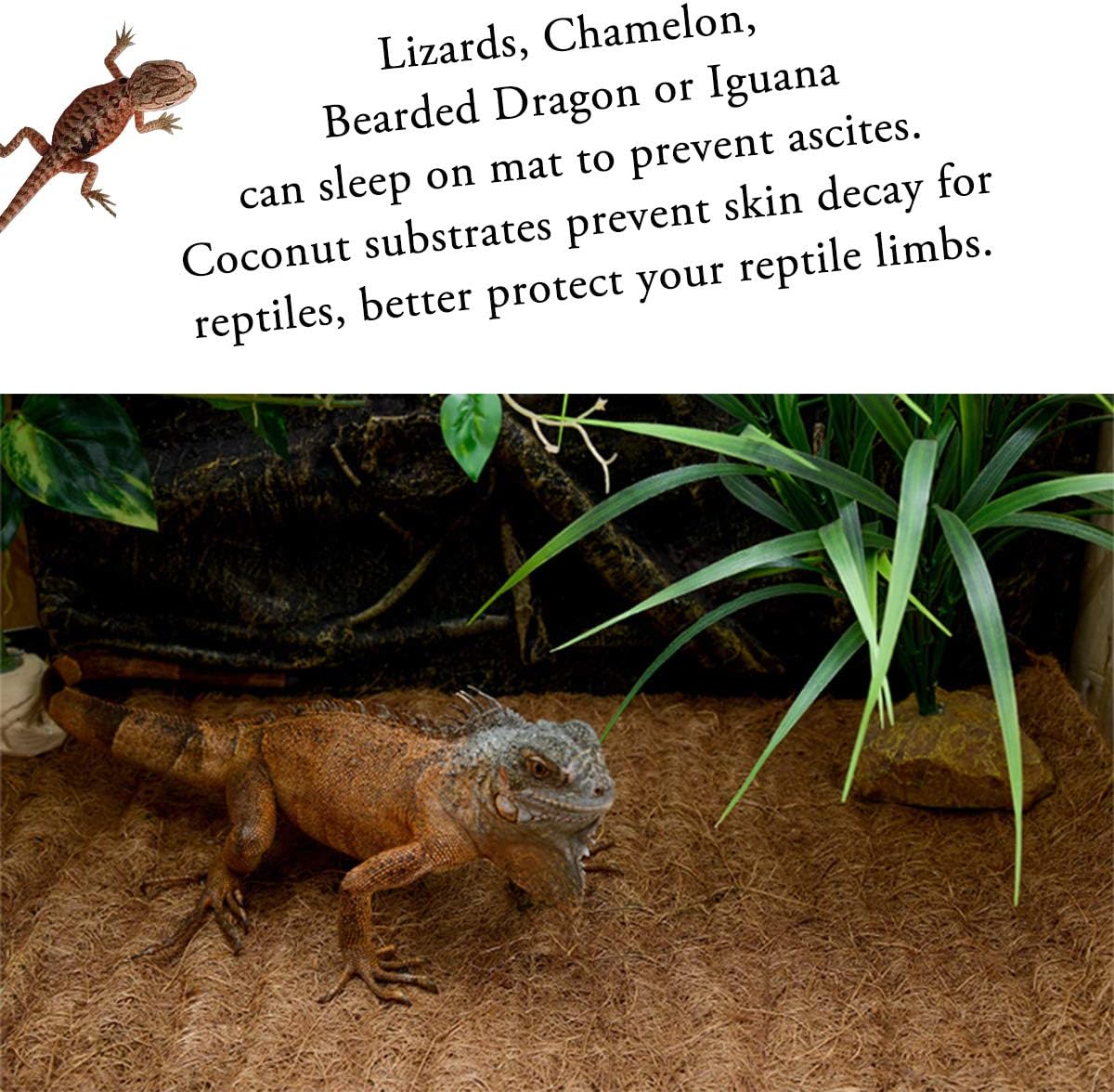 Reptile Carpet Natural Coconut Fiber - 36"x18" 2pack - image 3