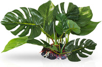 SunGrow Plastic Leaf Plant, Heavy-Duty Ceramic Base - 6 Inches / 1 - image 3