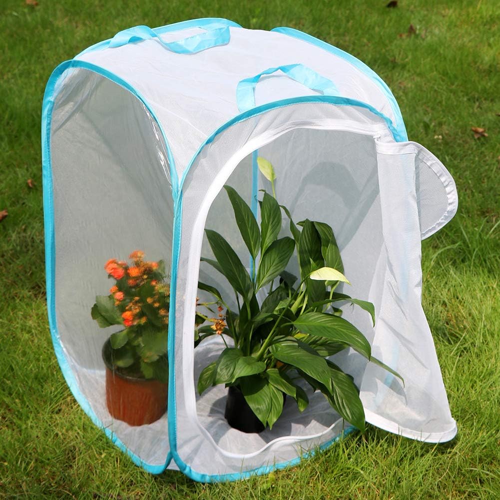RESTCLOUD 36" Large Monarch Butterfly Habitat - White with Blue - image 4