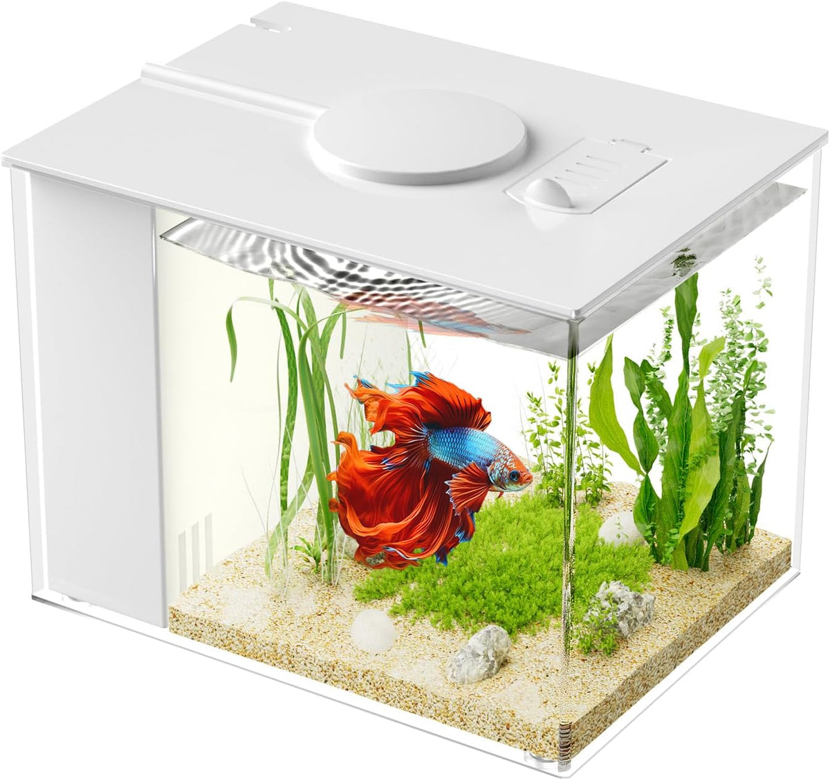 Betta Fish Tank 1 Gal, Acrylic Nano Aquarium Kit Black – Essentials for Fish - White