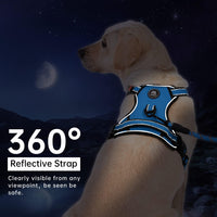 IVY&LANE No Pull Dog Harness for Medium Dogs - Blue / Large - image 3