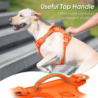 Sunraymascota No Pull Dog Harness for Medium Sized Dogs Puppy Vest - Orange / L(Neck:20.9-31.5", Chest:24.8-37.4") - image 4