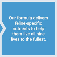 Life Extension Cat Mix, cat Food Supplements, Heart Health, probiotics, L-arginine, Taurine, B12, folic Acid, Vitamin C, Vitamin E, Rosemary, Nutrient Absorption, Gluten-Free, Non-GMO, 85 Servings