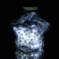 50pcs White LED Balloon Lights - 50PCS / White - image 4