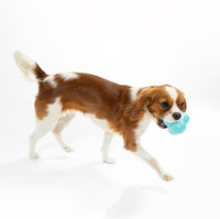 Playology Squeaky Bounce Dog Ball for Large Dogs, Jumbo - image 3