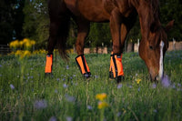 Warrior Fly Boots for Horses - Breathable Mesh Horse Boots for Fly Protection & Leg Comfort - Set of 4 (Knight Warrior, Neon Orange)