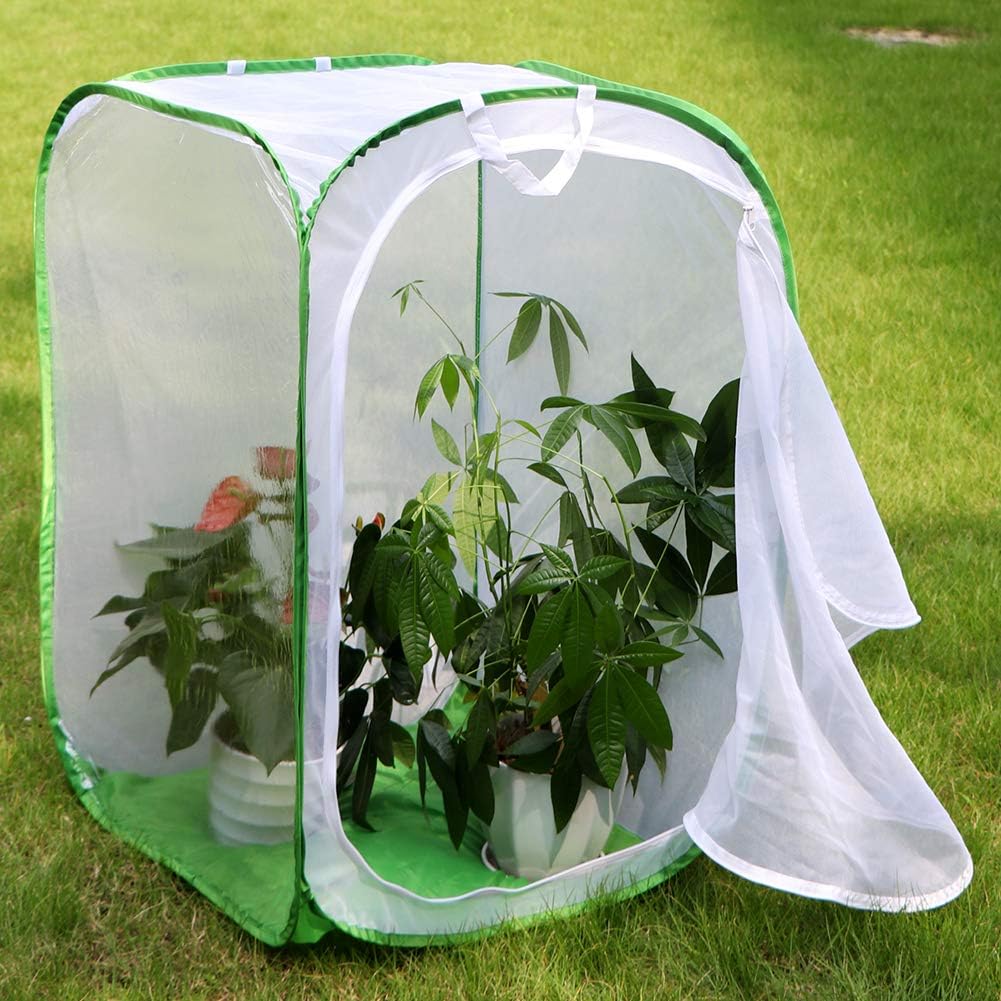 RESTCLOUD 36" Large Monarch Butterfly Habitat - White with Green - image 4