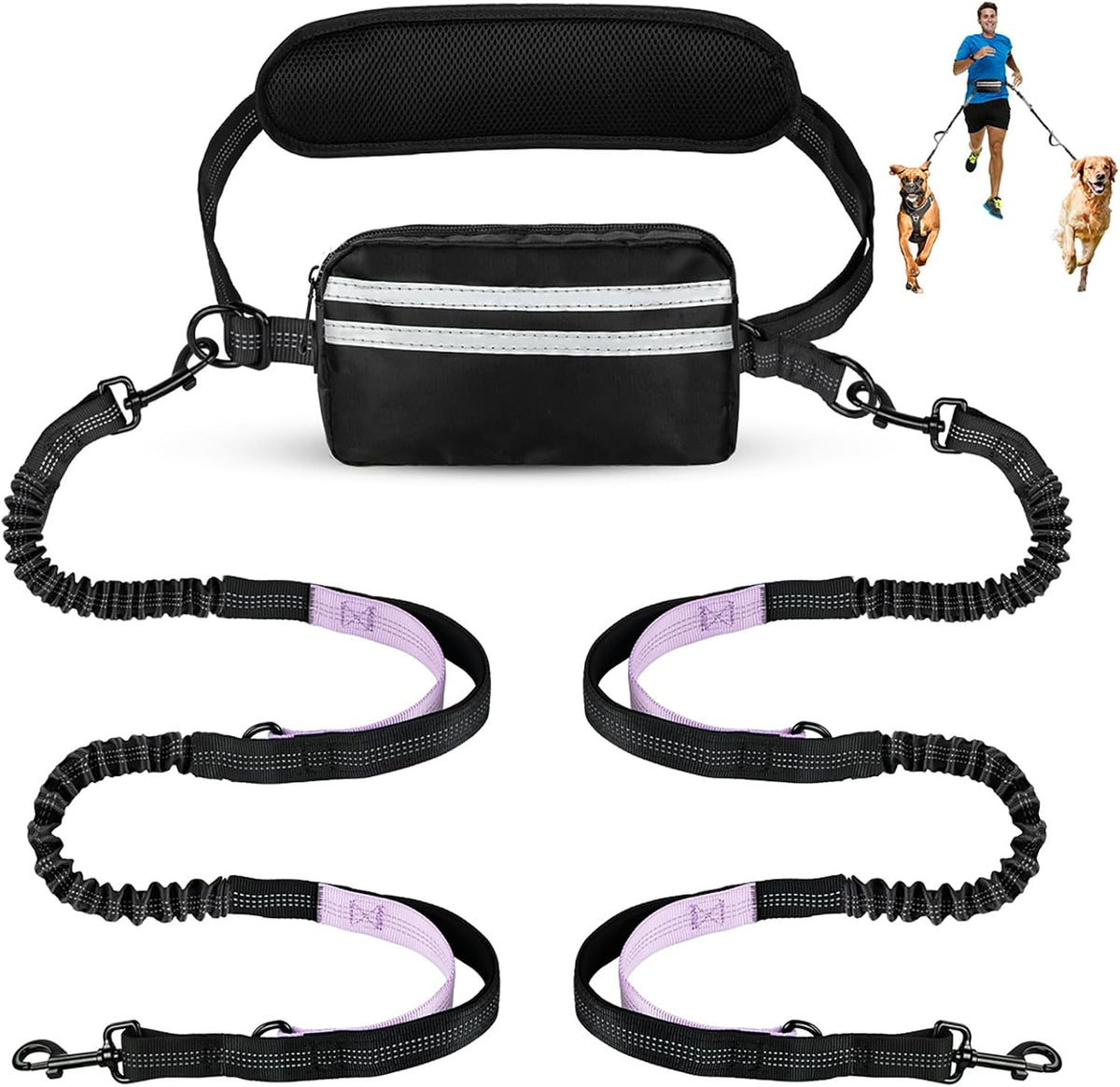 Hands Free Dog Leash for Two Dogs Walking, Running – Essentials for Dogs - Black/Purple / Large
