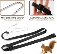 3Pcs Rat Harness and Leash - Black - image 3