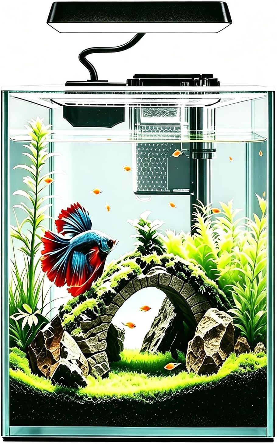 Ultra White Glass Betta Aquarium Starter Kits 1.5 Gallon Small Fish
