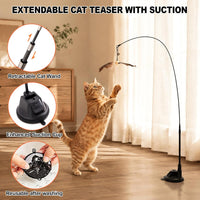 9PCS Interactive Bird Simulation Cat Toy Set with Suction Cup Indoor – Essentials for Cats - suction cup - image 4