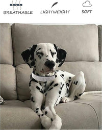 Dog Collar for Small Dogs - S / rose red - image 4