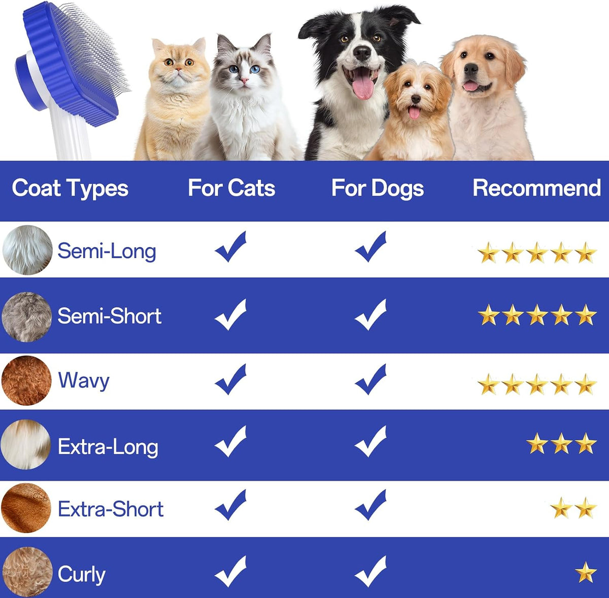 Cat brush, Cat Brush for Long or Short Haired Cats – Essentials for Cats - Sapphire - image 3