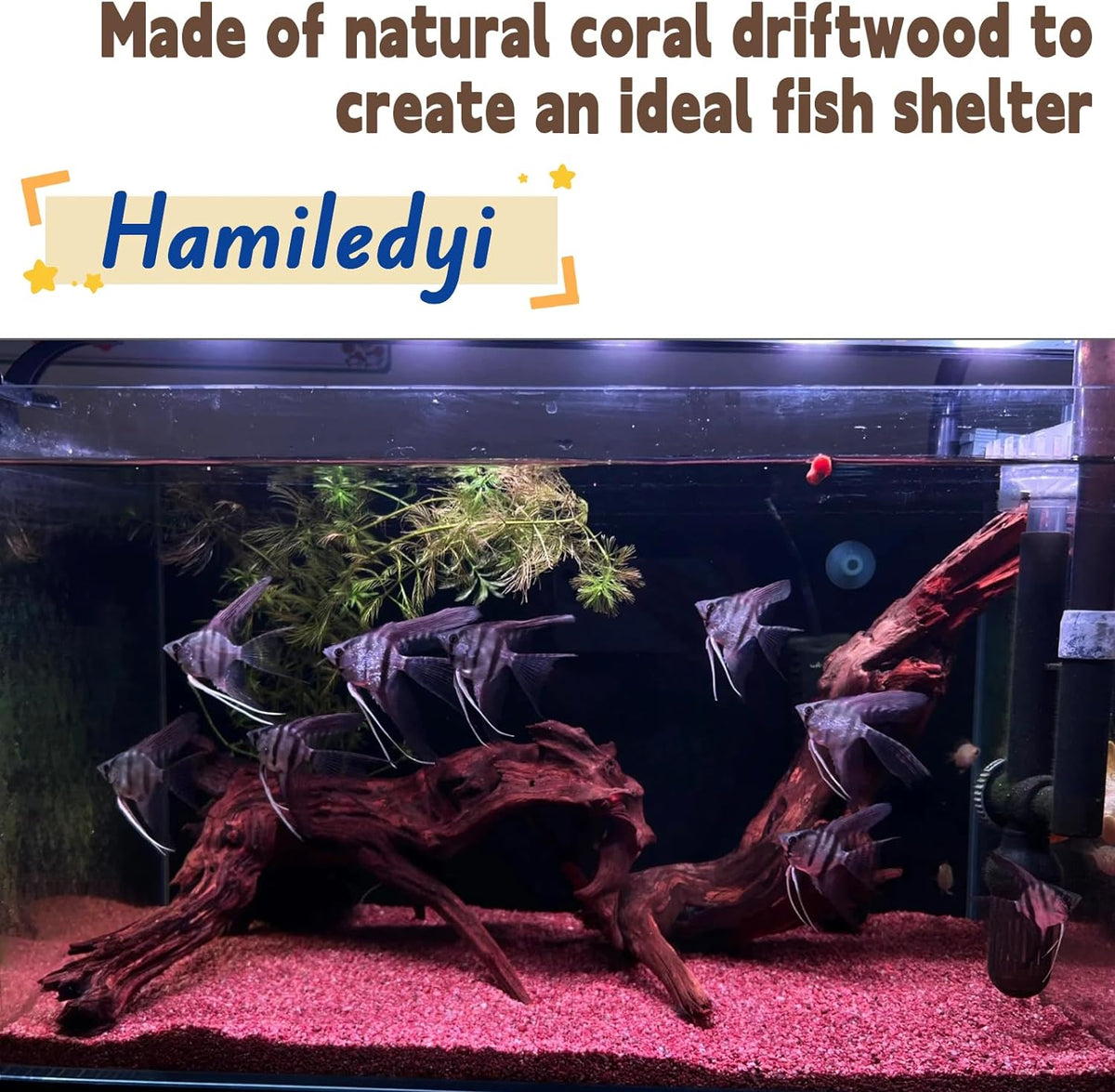 Aquarium Driftwood 3PCS Natural Trunk Driftwood Assorted Branches - Mopani Driftwood (8-15in 1PCS) - image 3