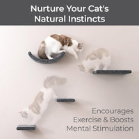 Cat Wall Shelves Set, Indoor & Outdoor by Pryde Pets - Charcoal / 4 Cat Climbers - image 4