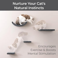 Wall Mounted Cat Shelves (Set of 4) by Pryde Pets - 100% Sustainable PET Felt Feline Enrichment Climber Furniture for Small & Large Indoor Cats, Modern Climbing Gym Jungle Design (Charcoal)