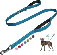 Fida Heavy Duty Dog Leash for Medium Large Dogs - 4 Feet (Pack of 1) / Blue