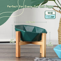 Ceramic Tilted Raised Cat Bowl - Green with stand
