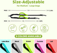 Double Dog Leash, No Tangle Splitter for Two Dogs - Green - image 2