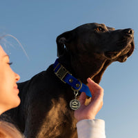 Wisedog Rubber Dog Collar with Quick Release, XS 8.5"-12" - Blue / L(Collar:14"-22") - image 4