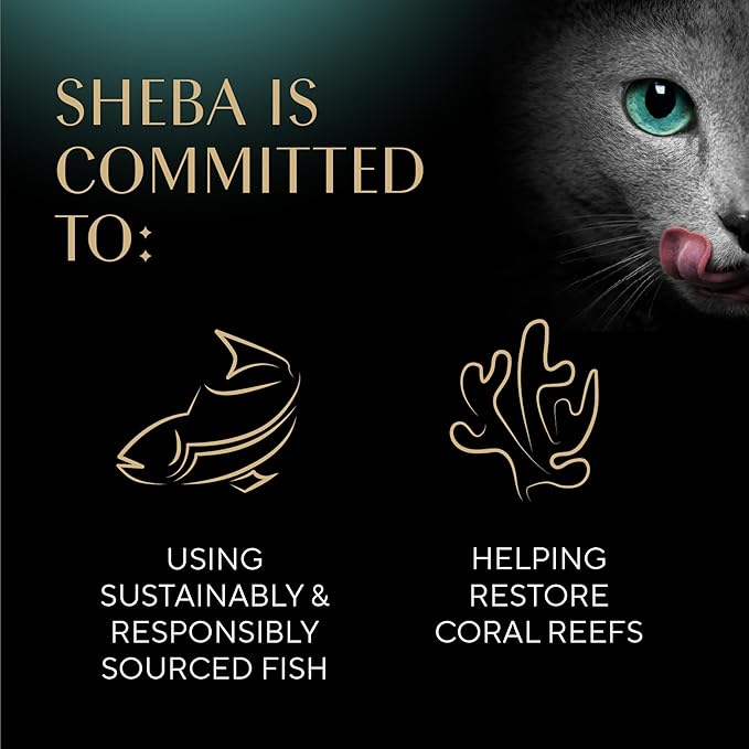 Sheba Gravy Indulgence Adult Wet Cat Food Whitefish Entree in Extra Gravy, 2.6 oz. Twin-Pack Trays (24 Count, 48 Servings)