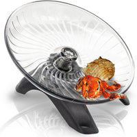 Hermit Crab Exercise Wheel - Gray