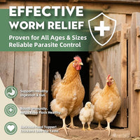 Chicken Dewormer Powder, All-Natural Health Formula, 1LB Pouch,Safe for Eggs, Effective for All Ages & Sizes, Chicken Wormer, Poultry Medicine Supplies (1, Pounds)