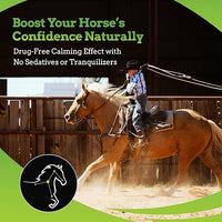 SynChill AF Calming Gel for Nervous Horses - Single Serving - Advanced Formula with L-Theanine, Increased Potency, 100% Natural Supplement, Disposition & Confidence Support for Horses - 12 Pack
