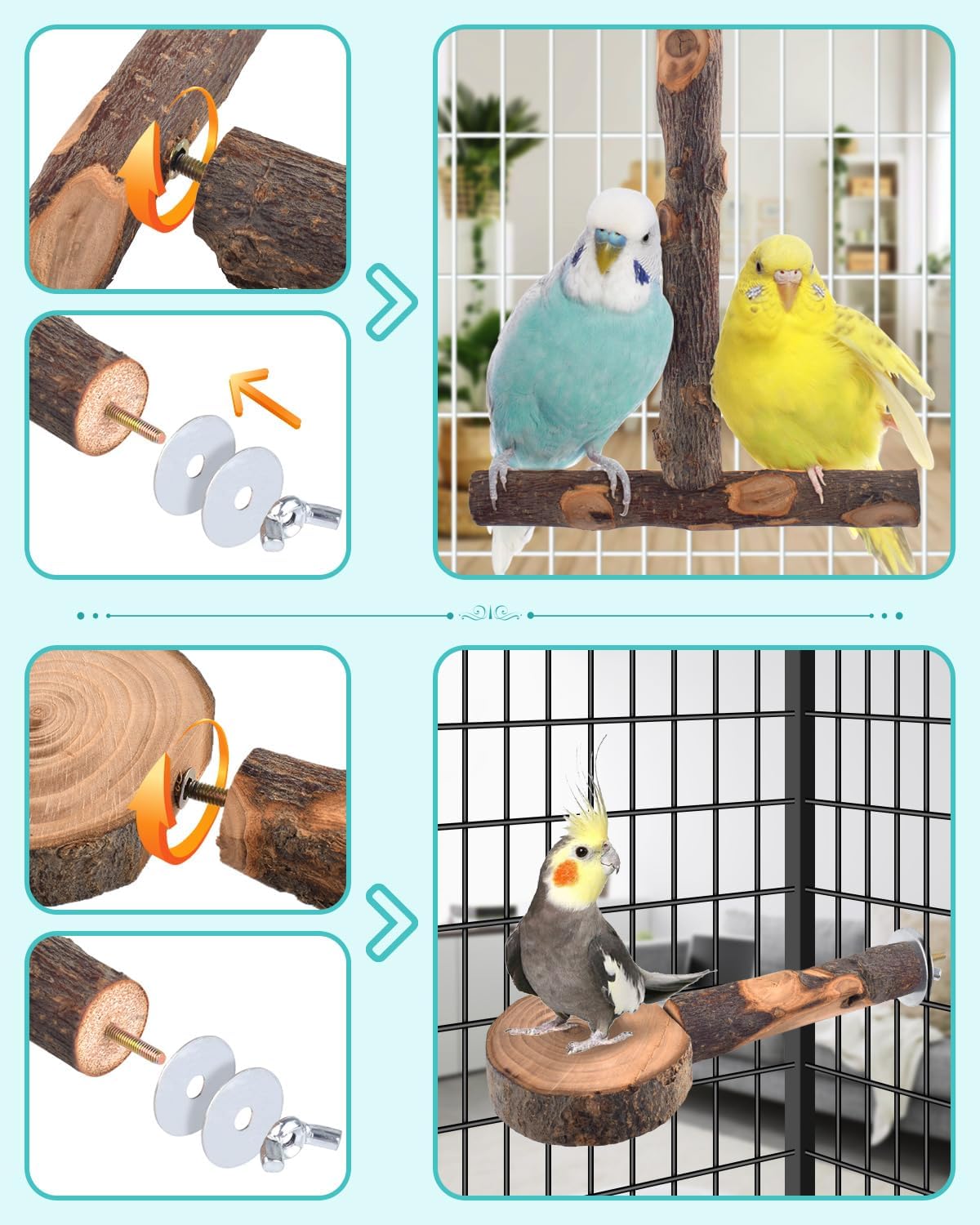 DBNESS Bird Perches, Conures, Budgies - image 2
