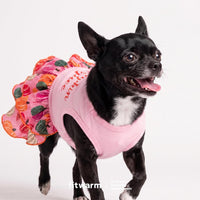 Fitwarm Halloween Pumpkin Dog Dress - Small / Pumpkin Spice - image 3