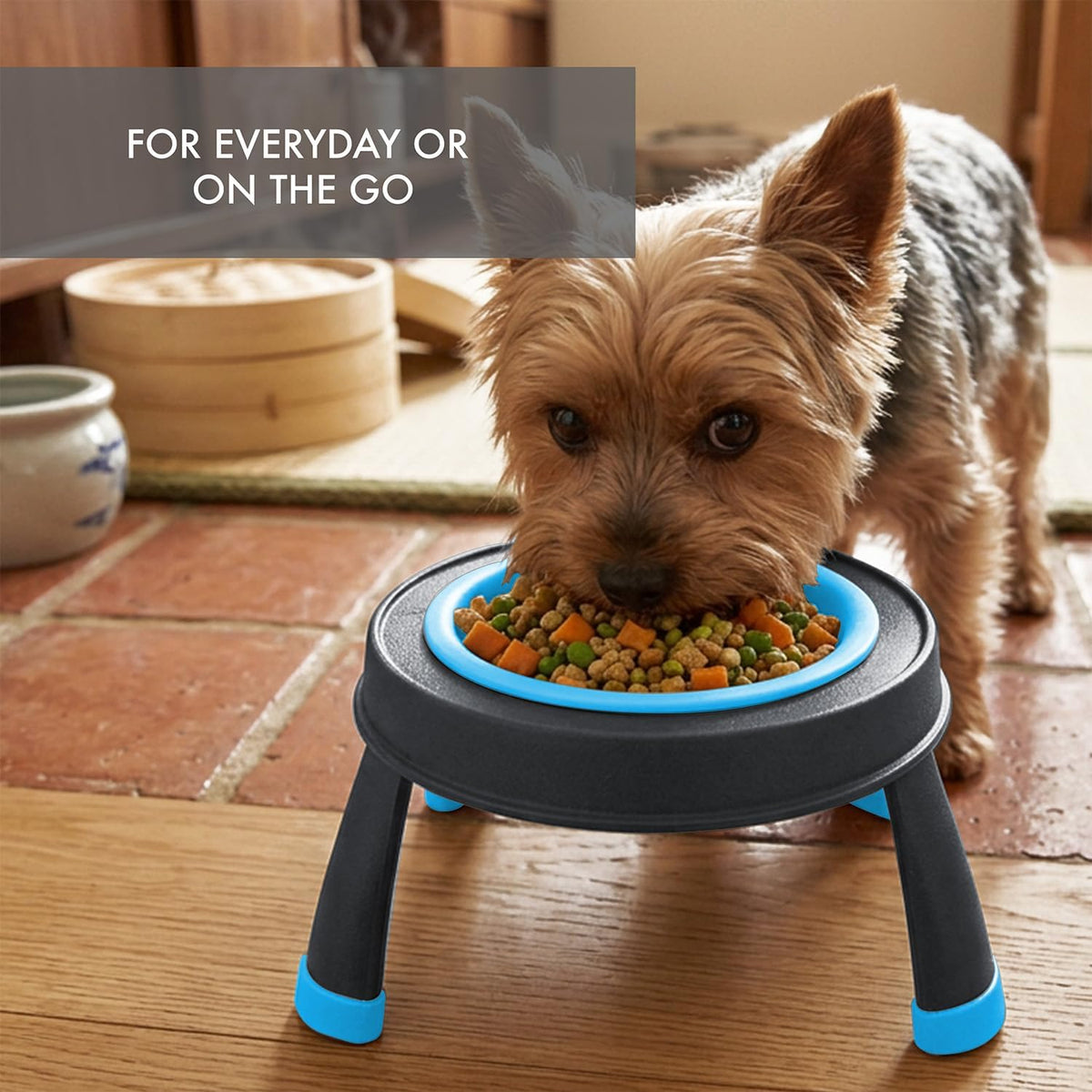 Dexas Pets Elevated Pet Feeder, 4 Cup Capacity - Small/1.5 Cup Capacity / Blue - image 3
