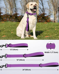 Joytale Short Dog Leash for Close Control & Training, 18" - 1 ft / Purple - image 2