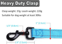 3 Handle Dog Leash 10FT Triple Handle Reflective Large Medium Dogs – Essentials for Dogs - Teal - image 3