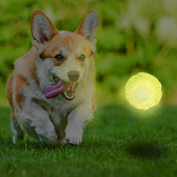 Nerf Dog Tennis Ball Blaster Dog Toy – Essentials for Dogs - 2.5 Inch Glow Reload Ball / Dog - image 2