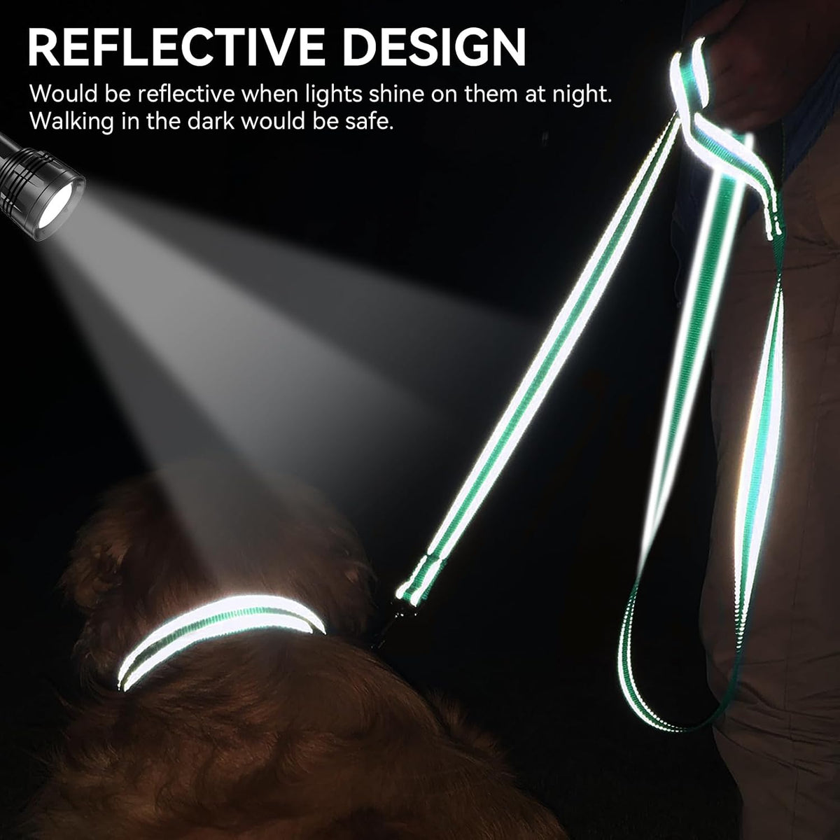 Joytale Reflective Dog Leash for Medium & Large Dogs - 5 ft Narrow / Teal - image 2