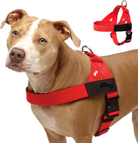 Dog Friendly Co. Dog Harness for Medium Sized Dogs – Essentials for Dogs - Red / Large