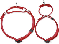 Hyhug Pets Premium Upgraded Heavy Duty Nylon Anti-Escape Martingale Collar for Boy and Girl Dogs Comfy and Safe - Professional Training, Daily Use Walking. (Small, Red)