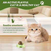 Catnip Toys 4 Pack Catnip Balls Catnip Wall Ball 360° Rotatable Chewing Teeth Cleaning Edible Cat Interactive Toys Indoor Play with Cats Wall Anxiety Relief Cat Chew Ball
