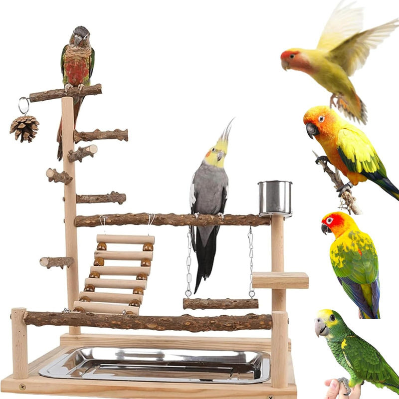 Bird Playground with Feeder Cups