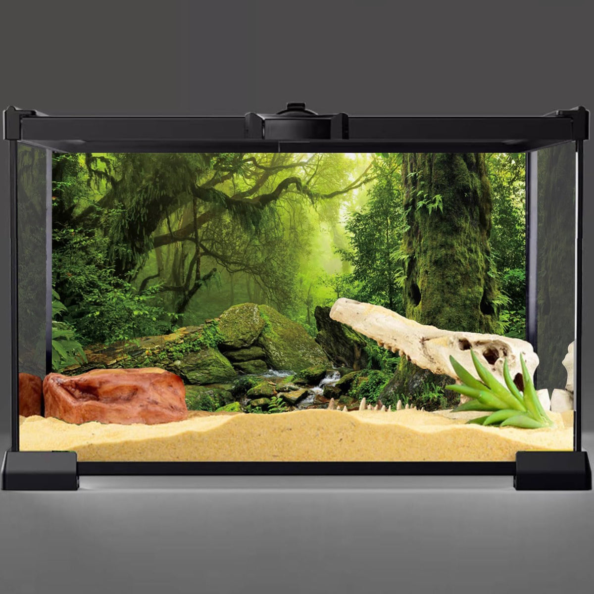 36x20 in Terrarium Backdrop Foggy Forest Stream Reptile Habitat - 72 x 18 inches - image 2