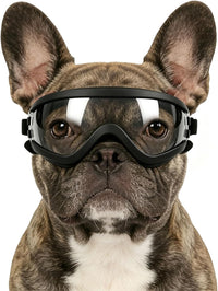 Medium Clear Dog Goggles Eye Protection - Classic Clear / Medium