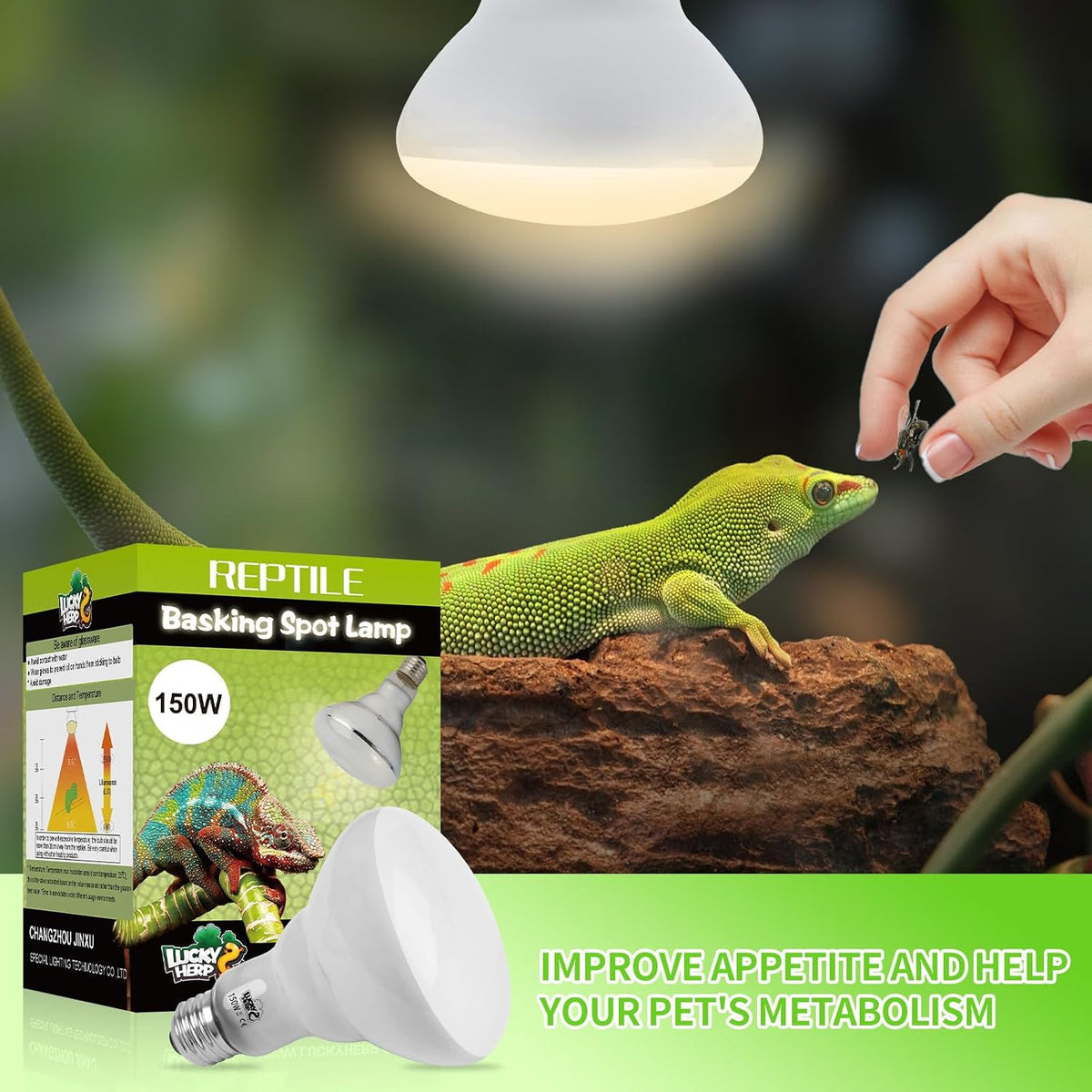LUCKY HERP Heat Lamp Bulbs, 150W Reptile Heat Lamp 2 Pack - Reptile Heat Lamp / 150W 1-Pack - image 2