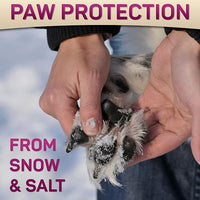 Dog Paw Balm for Dry Cracked Paws – Lick-Safe Moisturizer and Organic Paw Wax with Aloe & Vitamin E – Hot Pavement and Winter Snow Protection – Nose Safe – for All Breeds