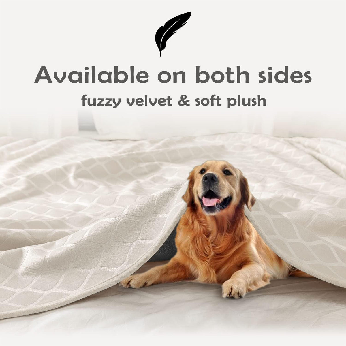 Waterproof Dog Blanket, Soft Reversible Throw for Couch & Bed Protection – Essentials for Dogs - Cream+beige / 40x60 Inch (Pack of 1) - image 2