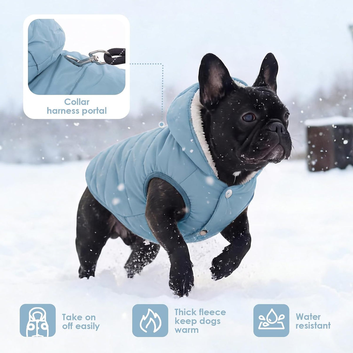 Dog Winter Coat,Warm Fleece Lined Dog Jacket with Leash Hole & Hood – Essentials for Dogs - light Blue / X-Large - image 2
