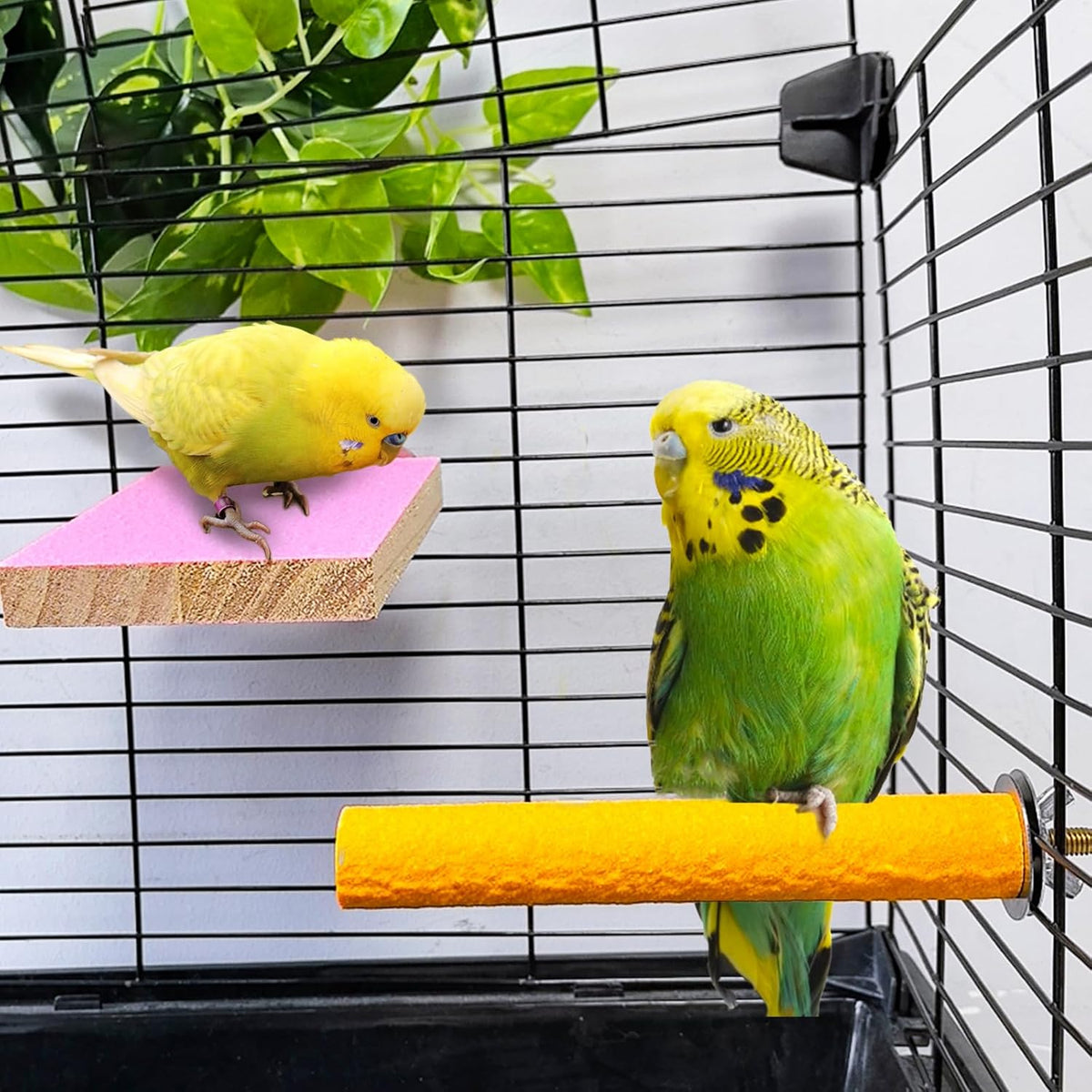 5pcs Bird Perch Stand Platform Natural Wood Parakeet Toys Cage - 7PCS - image 4