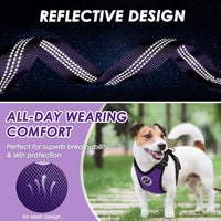Lukovee Dog Seat Belt for Car, Adjustable Dog Car Harness for Large Medium Small Dogs, Soft Padded & Breathable Mesh Dog Seatbelt with Car Vehicle Connector Strap (Purple,XXX-Small)